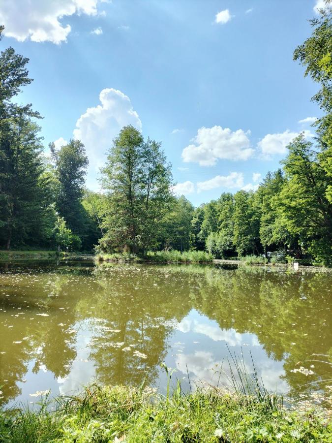 شقة Les Capucines La Souris Des Champs Étival-Clairefontaine المظهر الخارجي الصورة